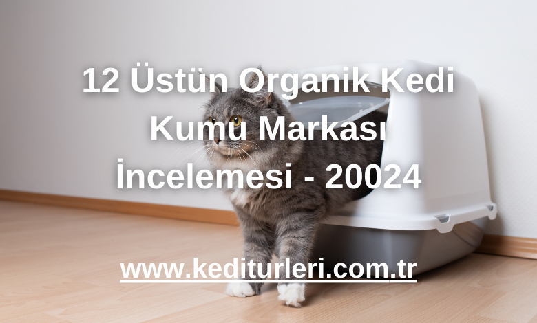 12 Üstün Organik Kedi Kumu Markası İncelemesi - 20024