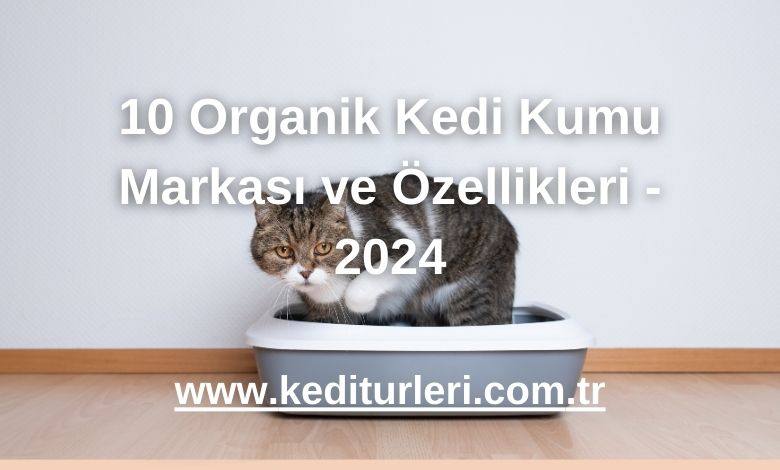 10 Organik Kedi Kumu Markası ve Özellikleri - 2024