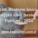 8 Kedi Besleme İpucu ile Sağlıklı Kedi Besleme Rehberi - 2024