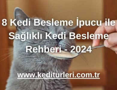 8 Kedi Besleme İpucu ile Sağlıklı Kedi Besleme Rehberi - 2024
