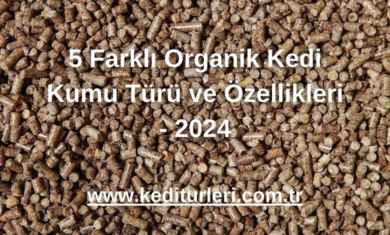 5 Farklı Organik Kedi Kumu Türü ve Özellikleri - 2024