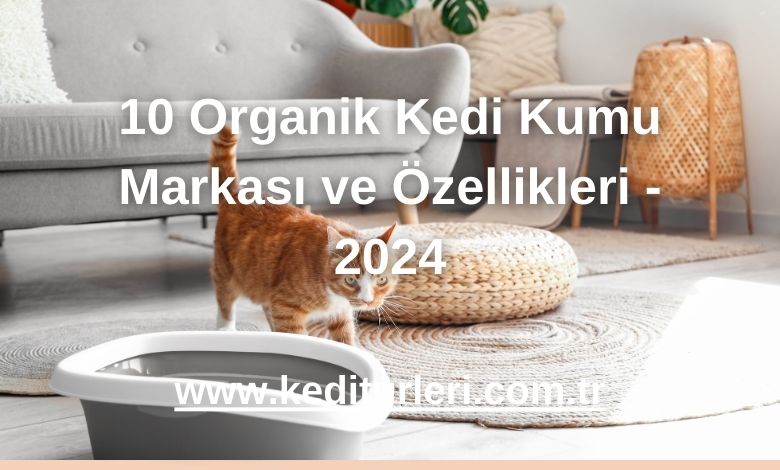 10 Organik Kedi Kumu Markası ve Özellikleri - 2024
