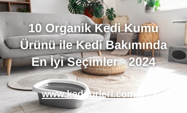 10 Organik Kedi Kumu Ürünü ile Kedi Bakımında En İyi Seçimler - 2024
