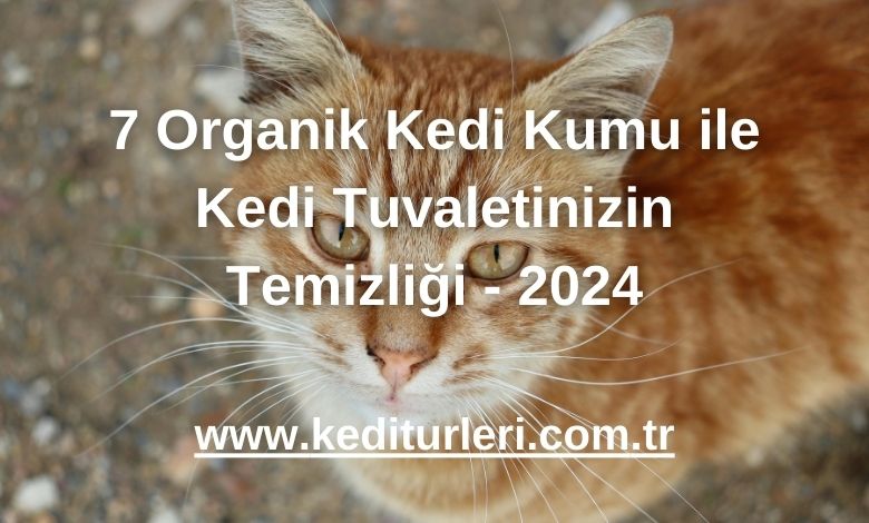 7 Organik Kedi Kumu ile Kedi Tuvaletinizin Temizliği - 2024