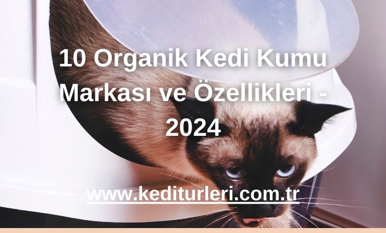 10 Organik Kedi Kumu Markası ve Özellikleri - 2024