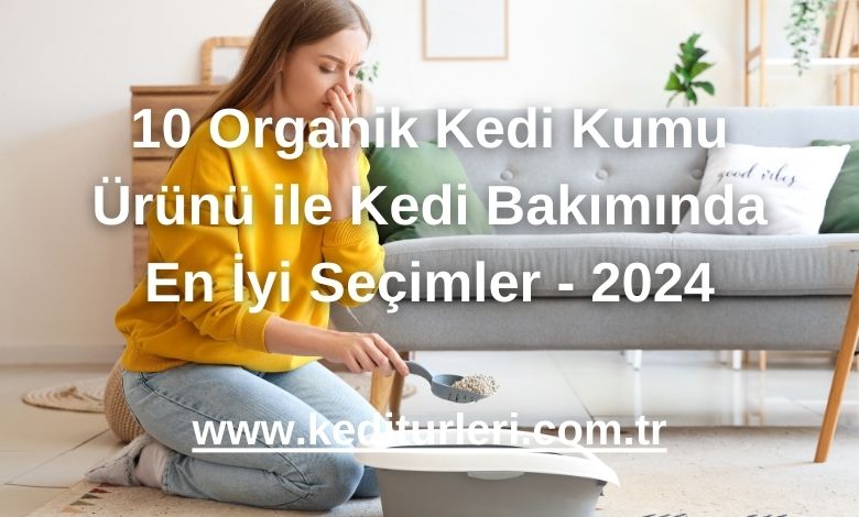 10 Organik Kedi Kumu Ürünü ile Kedi Bakımında En İyi Seçimler - 2024