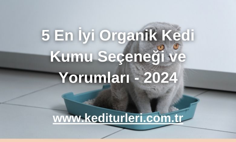 5 En İyi Organik Kedi Kumu Seçeneği ve Yorumları - 2024