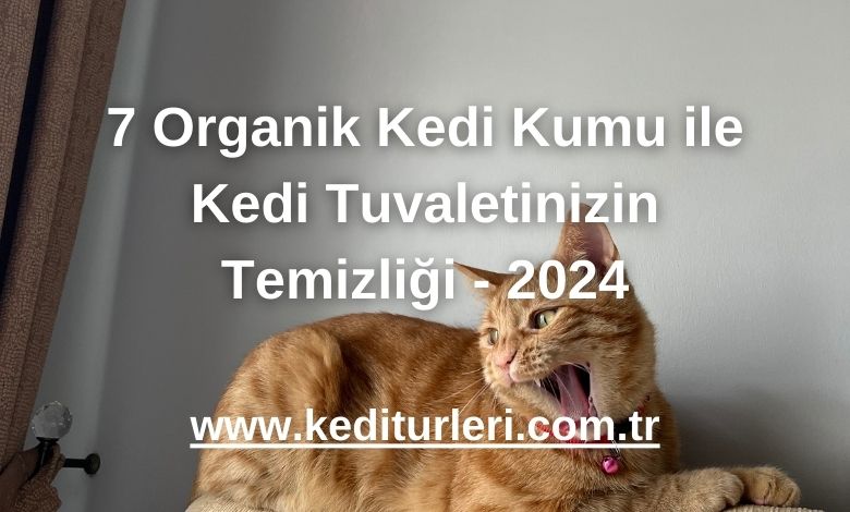 7 Organik Kedi Kumu ile Kedi Tuvaletinizin Temizliği - 2024