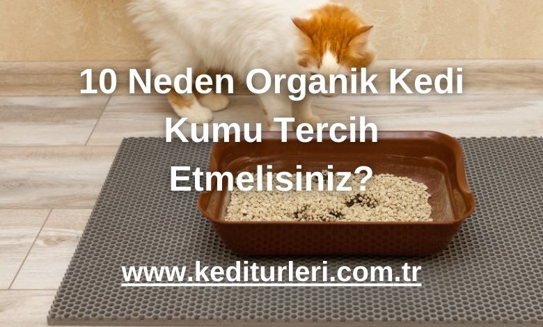 10 Neden Organik Kedi Kumu Tercih Etmelisiniz?