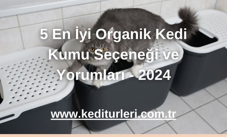 5 En İyi Organik Kedi Kumu Seçeneği ve Yorumları - 2024