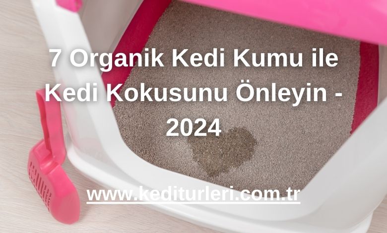 7 Organik Kedi Kumu ile Kedi Kokusunu Önleyin - 2024