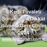 5 Kedi Tuvaleti Sorununda Dikkat Edilmesi Gerekenler - 2024