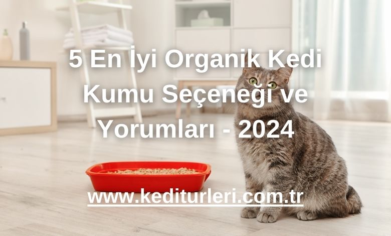 5 En İyi Organik Kedi Kumu Seçeneği ve Yorumları - 2024