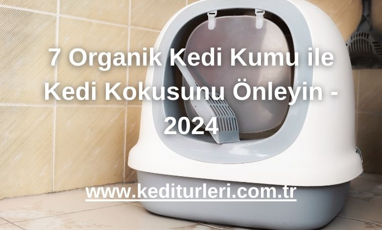 7 Organik Kedi Kumu ile Kedi Kokusunu Önleyin - 2024