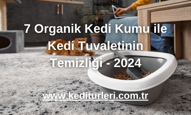 7 Organik Kedi Kumu ile Kedi Tuvaletinin Temizliği - 2024