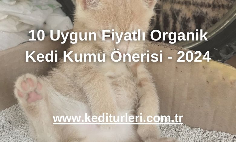 10 Uygun Fiyatlı Organik Kedi Kumu Önerisi - 2024