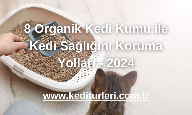 8 Organik Kedi Kumu ile Kedi Sağlığını Koruma Yolları - 2024