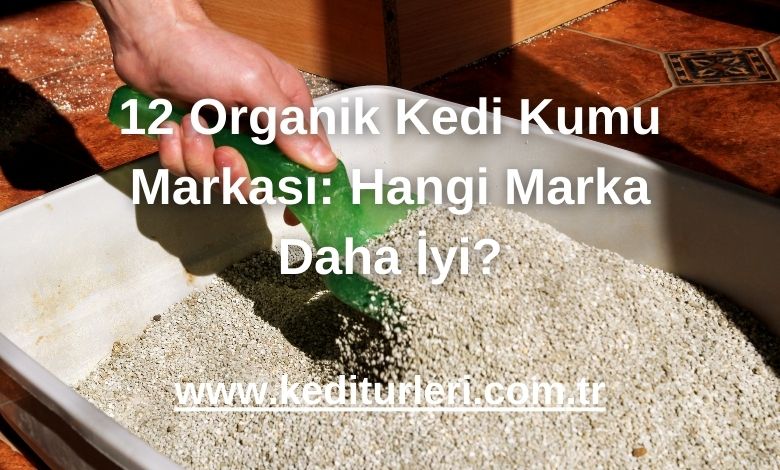 12 Organik Kedi Kumu Markası: Hangi Marka Daha İyi? - 2024