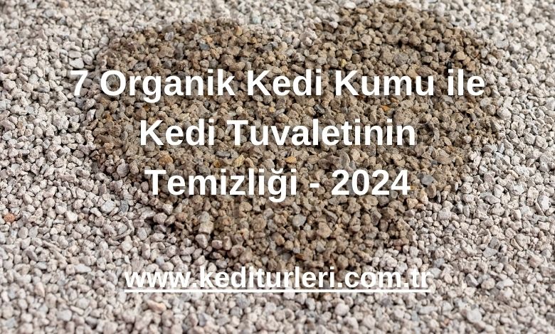 7 Organik Kedi Kumu ile Kedi Tuvaletinin Temizliği - 2024