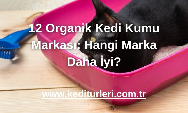 12 Organik Kedi Kumu Markası: Hangi Marka Daha İyi? - 2024
