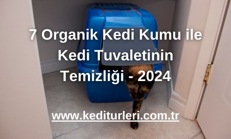 7 Organik Kedi Kumu ile Kedi Tuvaletinin Temizliği - 2024