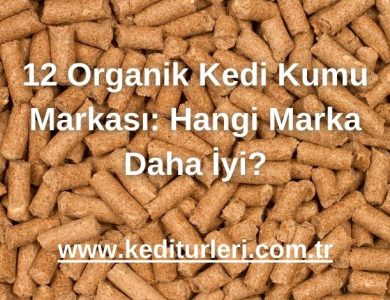 12 Organik Kedi Kumu Markası: Hangi Marka Daha İyi?