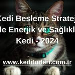 8 Kedi Besleme Stratejisi ile Enerjik ve Sağlıklı Kedi - 2024