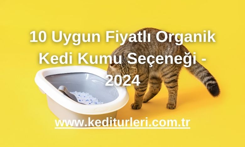 10 Uygun Fiyatlı Organik Kedi Kumu Seçeneği - 2024