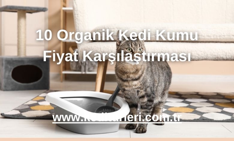 10 Organik Kedi Kumu Fiyat Karşılaştırması - 2024