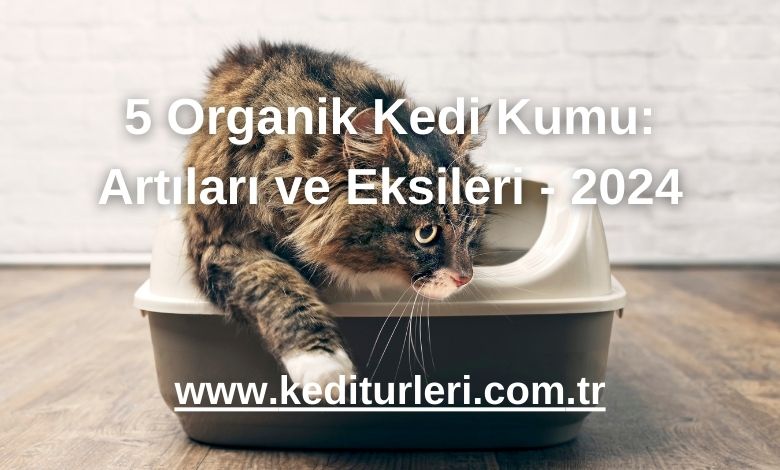 5 Organik Kedi Kumu: Artıları ve Eksileri - 2024