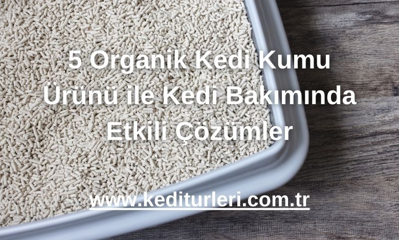 5 Organik Kedi Kumu Ürünü ile Kedi Bakımında Etkili Çözümler