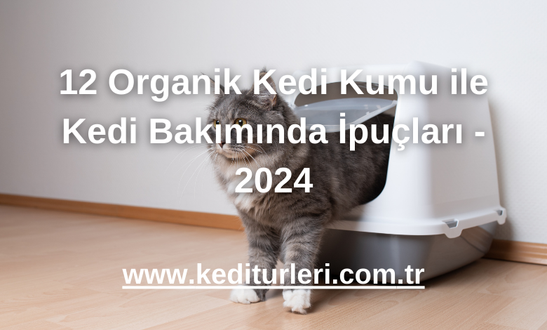 12 Organik Kedi Kumu ile Kedi Bakımında İpuçları - 2024