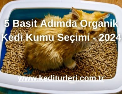 5 Basit Adımda Organik Kedi Kumu Seçimi - 2024