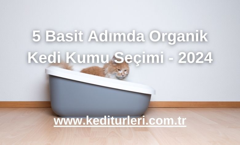 5 Basit Adımda Organik Kedi Kumu Seçimi - 2024