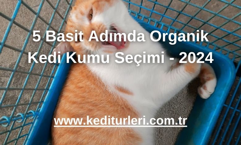 5 Basit Adımda Organik Kedi Kumu Seçimi - 2024