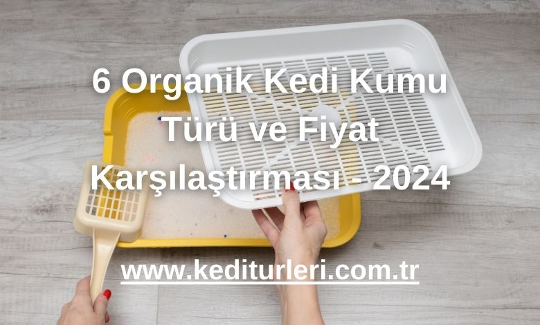 6 Organik Kedi Kumu Türü ve Fiyat Karşılaştırması - 2024