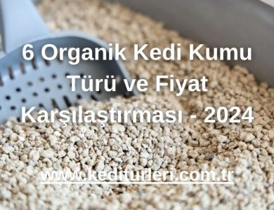 6 Organik Kedi Kumu Türü ve Fiyat Karşılaştırması - 2024