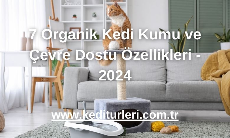 7 Organik Kedi Kumu ve Çevre Dostu Özellikleri - 2024