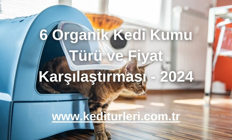 6 Organik Kedi Kumu Türü ve Fiyat Karşılaştırması - 2024
