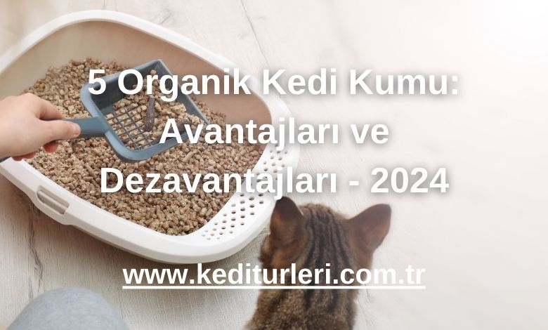 5 Organik Kedi Kumu: Avantajları ve Dezavantajları - 2024