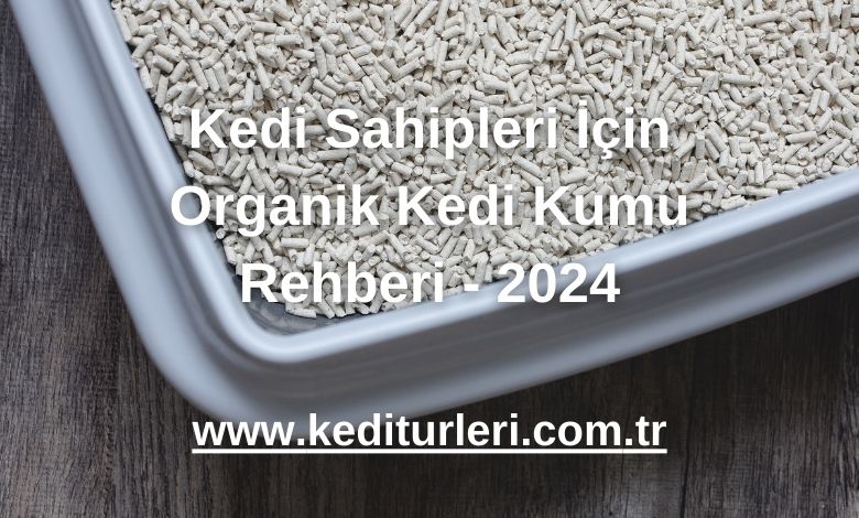 Kedi Sahipleri İçin Organik Kedi Kumu Rehberi - 2024