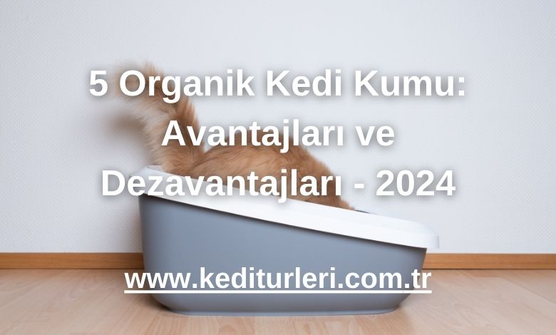5 Organik Kedi Kumu: Avantajları ve Dezavantajları - 2024