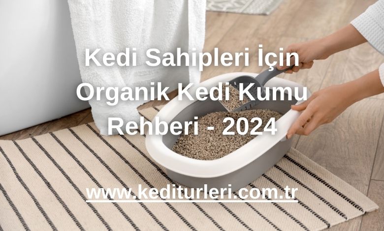 Kedi Sahipleri İçin Organik Kedi Kumu Rehberi - 2024