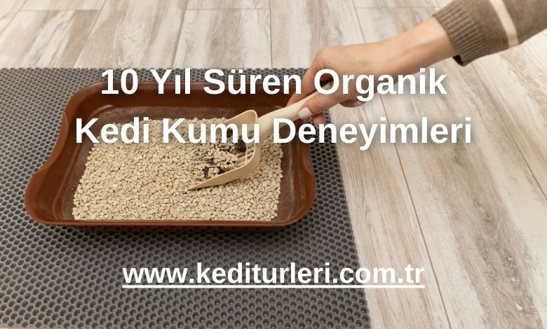 10 Yıl Süren Organik Kedi Kumu Deneyimleri
