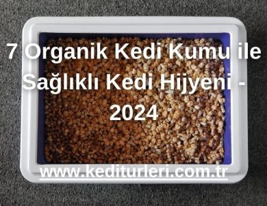 7 Organik Kedi Kumu ile Sağlıklı Kedi Hijyeni - 2024