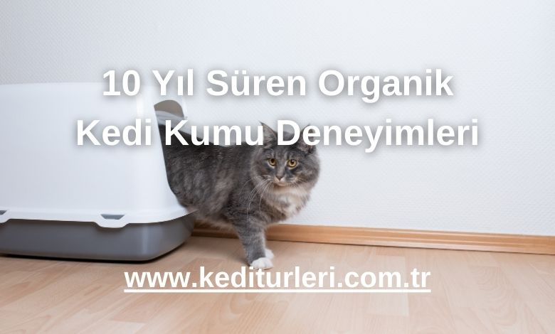 10 Yıl Süren Organik Kedi Kumu Deneyimleri
