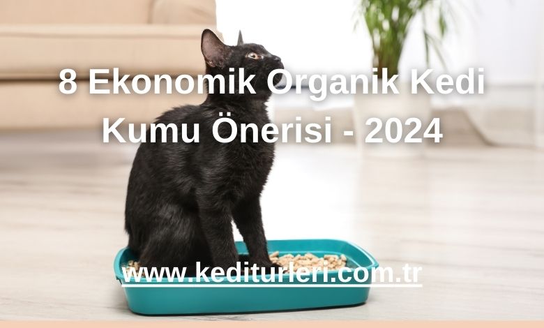 8 Ekonomik Organik Kedi Kumu Önerisi - 2024