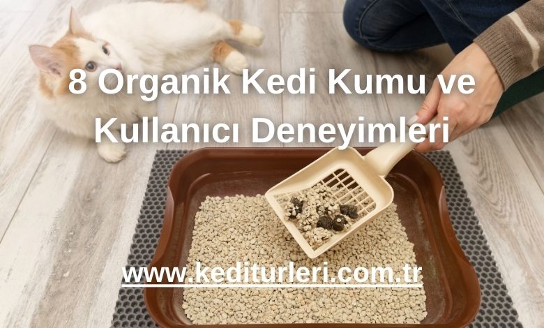 8 Organik Kedi Kumu ve Kullanıcı Deneyimleri - 2024