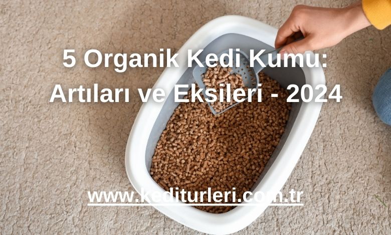 5 Organik Kedi Kumu: Artıları ve Eksileri - 2024