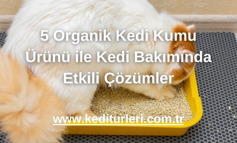 5 Organik Kedi Kumu Ürünü ile Kedi Bakımında Etkili Çözümler - 2024